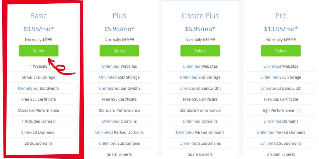 choose your host package for your domain